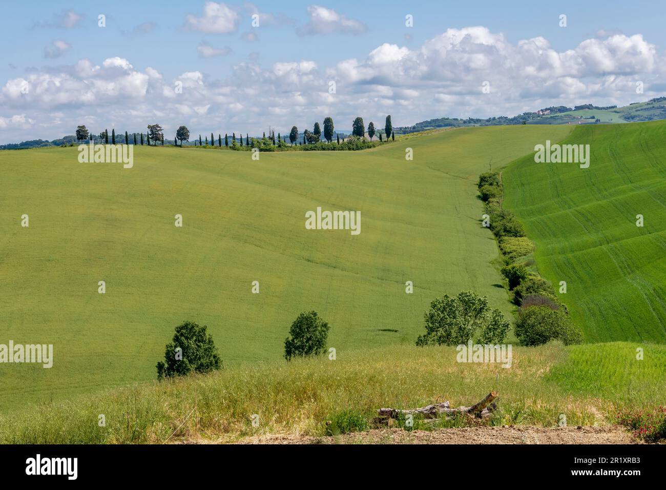 The beautiful Tuscan countryside in spring in the Orciano Pisano area, Pisa, Italy Stock Photo