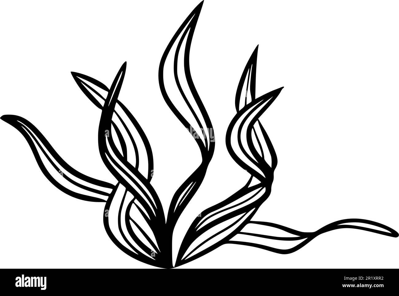 Sea Sponge Clipart Black And White