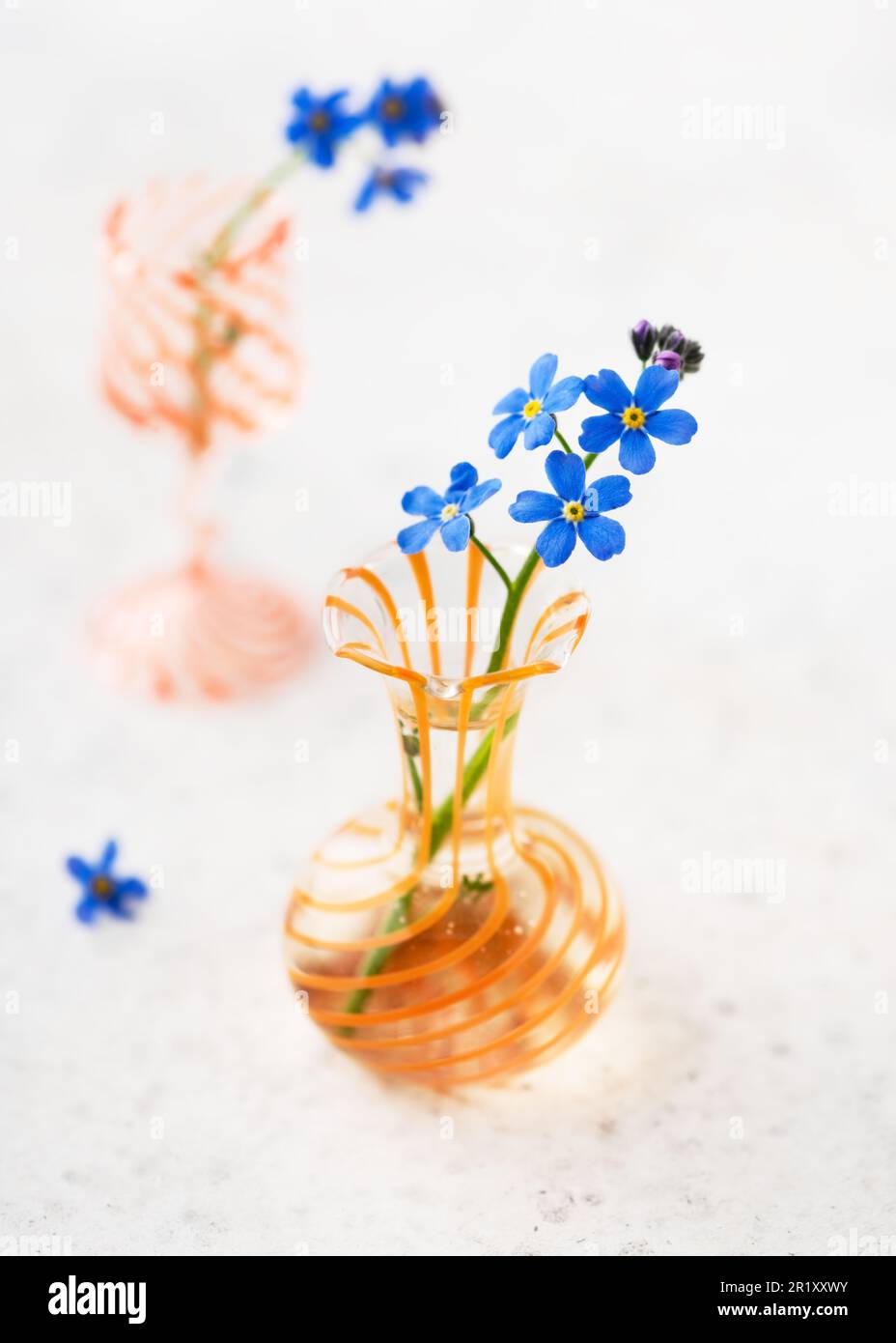 Still life with blue forget me not flowers in mini glass vases. (Myosotis sylvatica). Home interior and decor idea concept. Copy space. Stock Photo