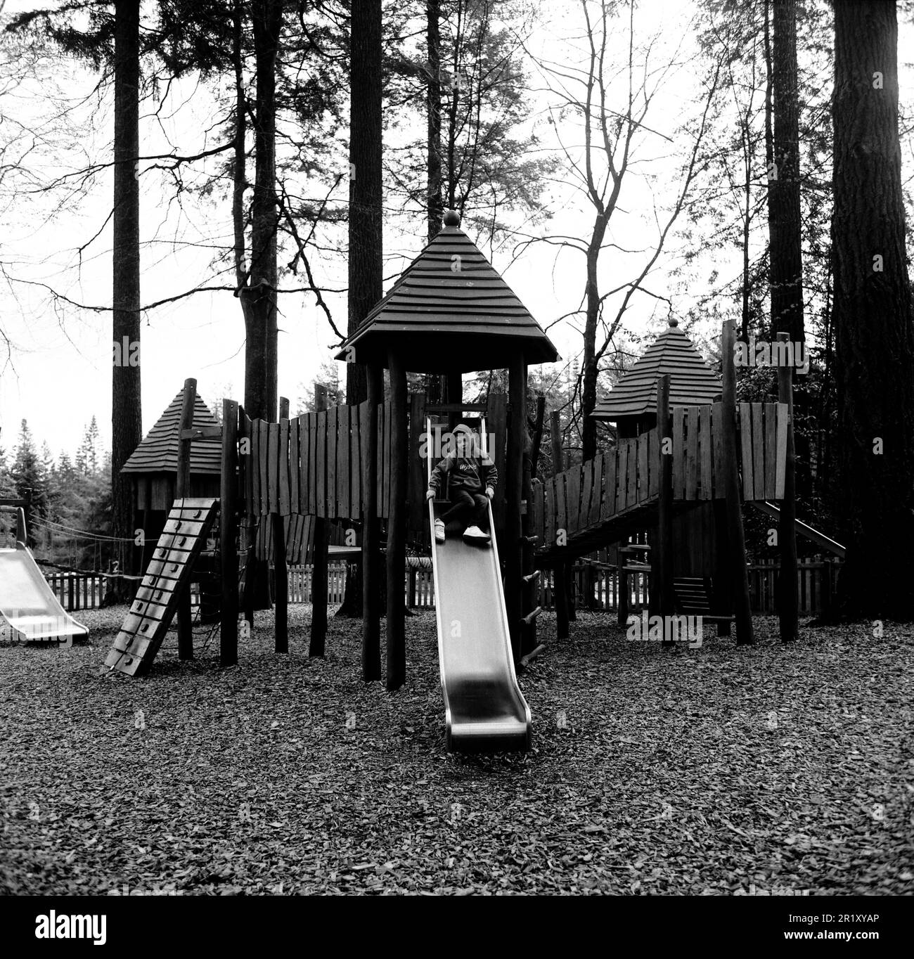 Center Parcs, Longleat, Wiltshire, England, United Kingdom Stock Photo