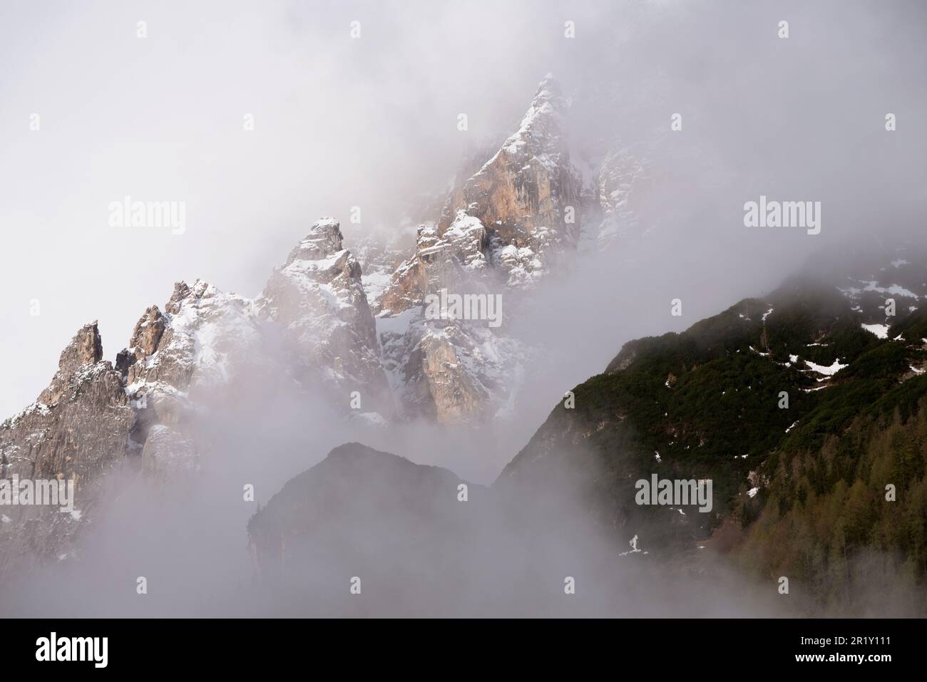 panorami delle montagne e boschi delle dolomiti all'alba con nuvole Stock Photo