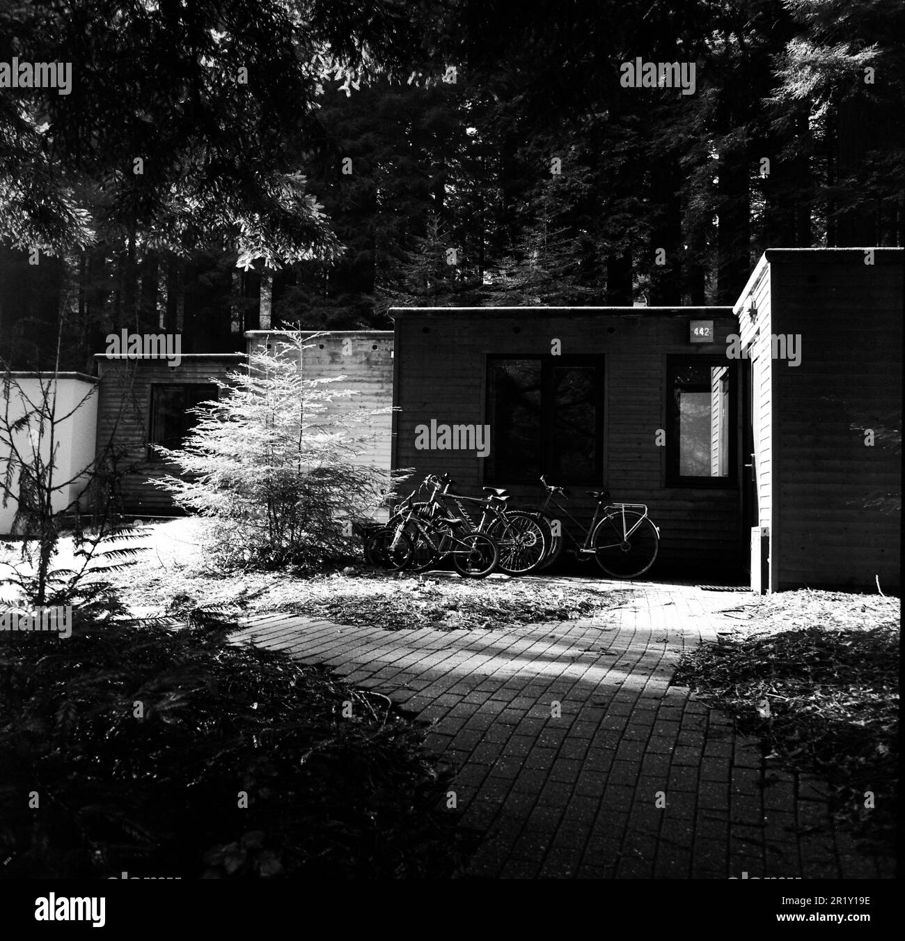 Redwood Lodge Black And White Stock Photos Images Alamy redwood-lodge-black-and-white-stock-photos-images-alamy