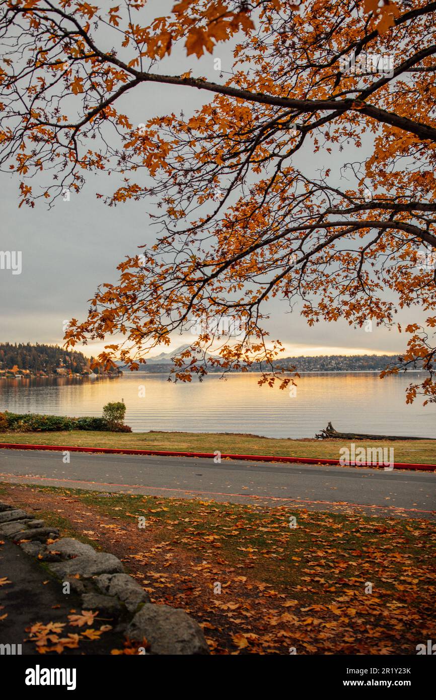Seattle lake mt rainier hi-res stock photography and images - Alamy