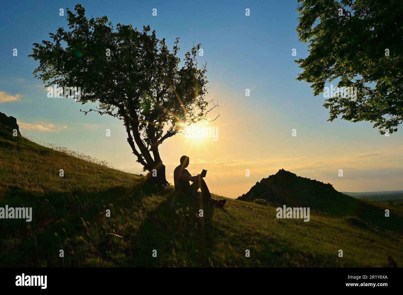 Man Reading Book Under Tree Against the Sunset Stock Photo