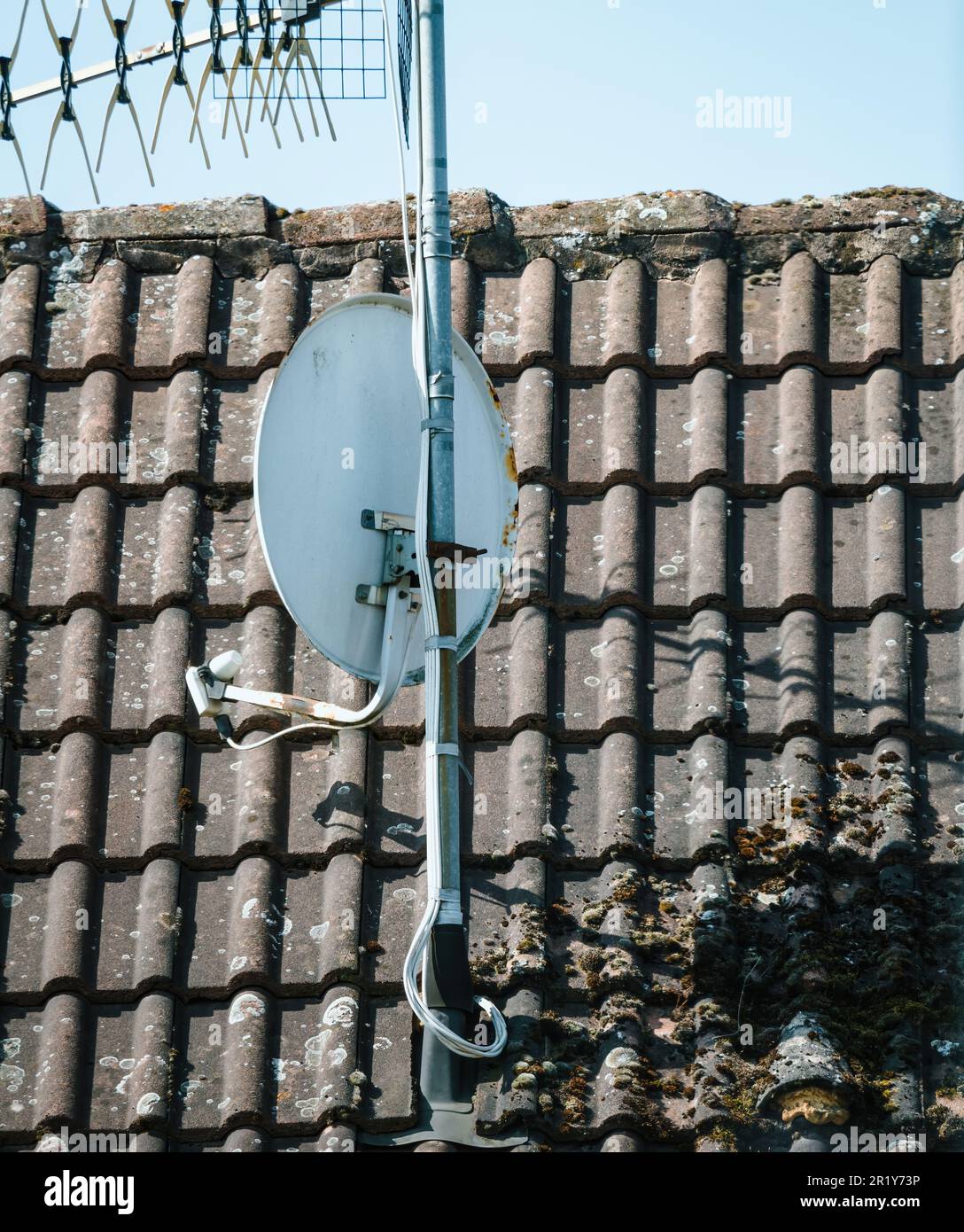 A modern rooftop covered with moss and adorned with a satellite antenna and  digital tv aerial, illuminated by the warm light of day Stock Photo - Alamy