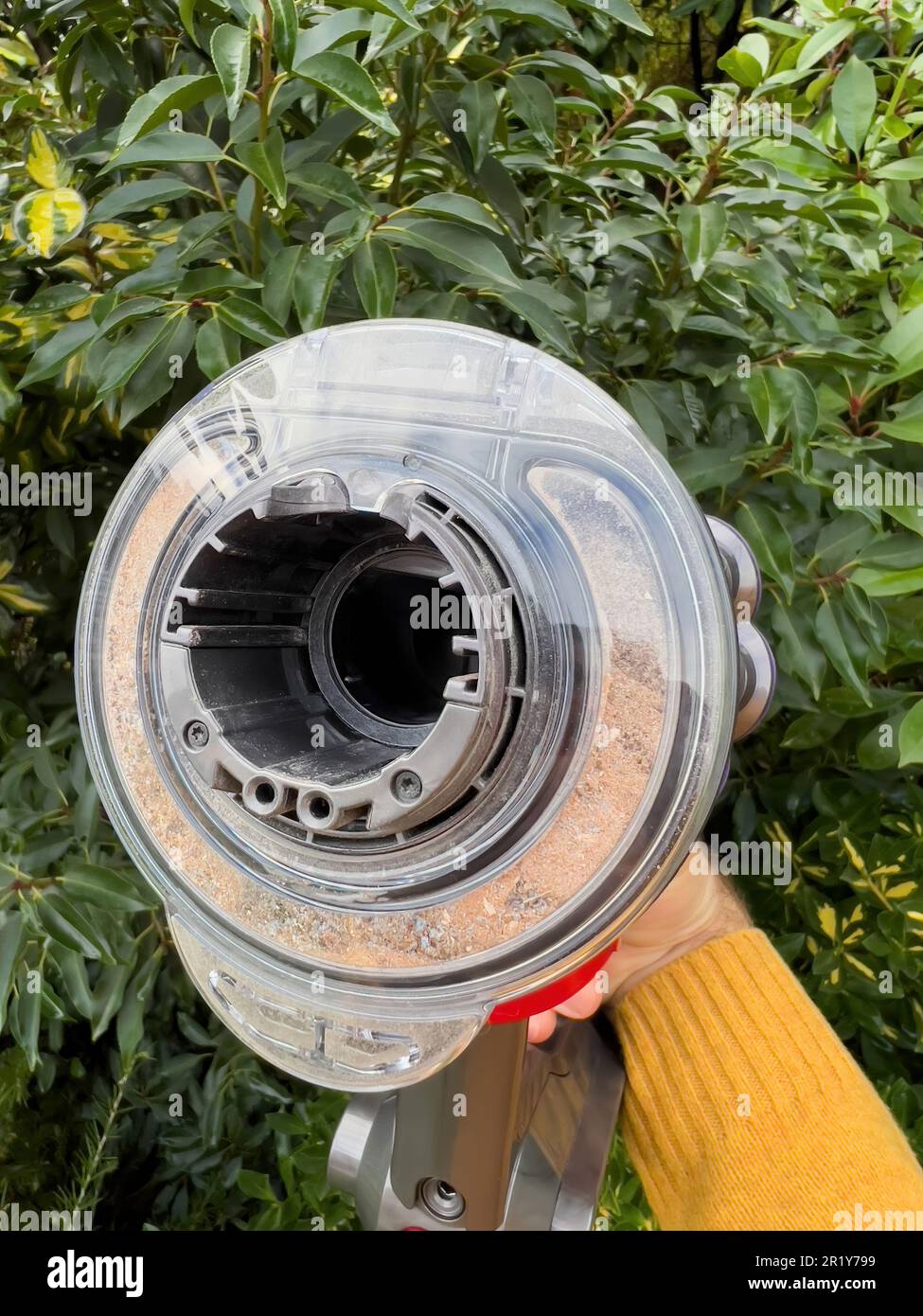 A batteryoperated vacuum cleaner powerfully sucks up animal hair