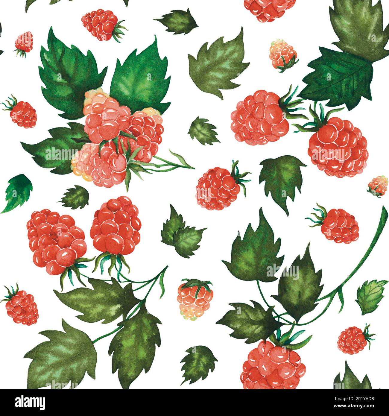 Watercolour Raspberry Watercolour wallpaper on wall Cut Out Stock Images & Pictures - Alamy