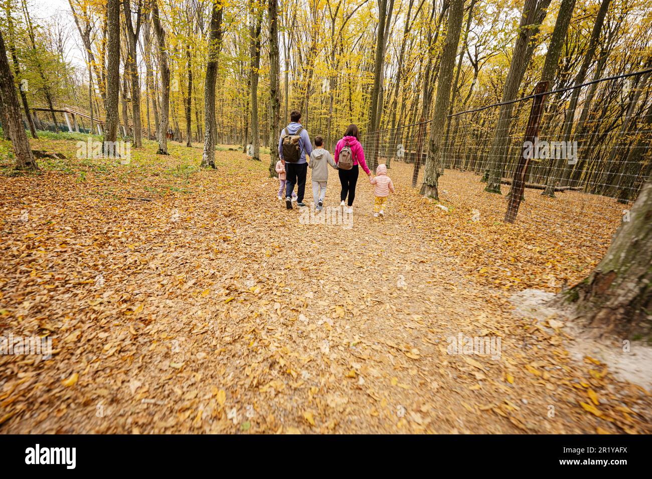 Back of family with kids on a walk in autumn forest Stock Photo - Alamy