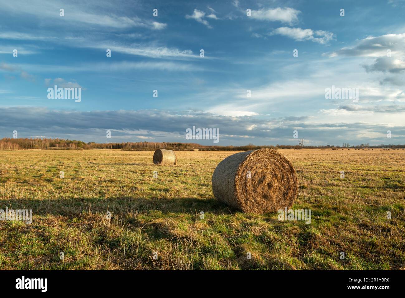 Round bales of hay lying on the meadow and clouds on the sky, Czulczyce, Poland Stock Photo