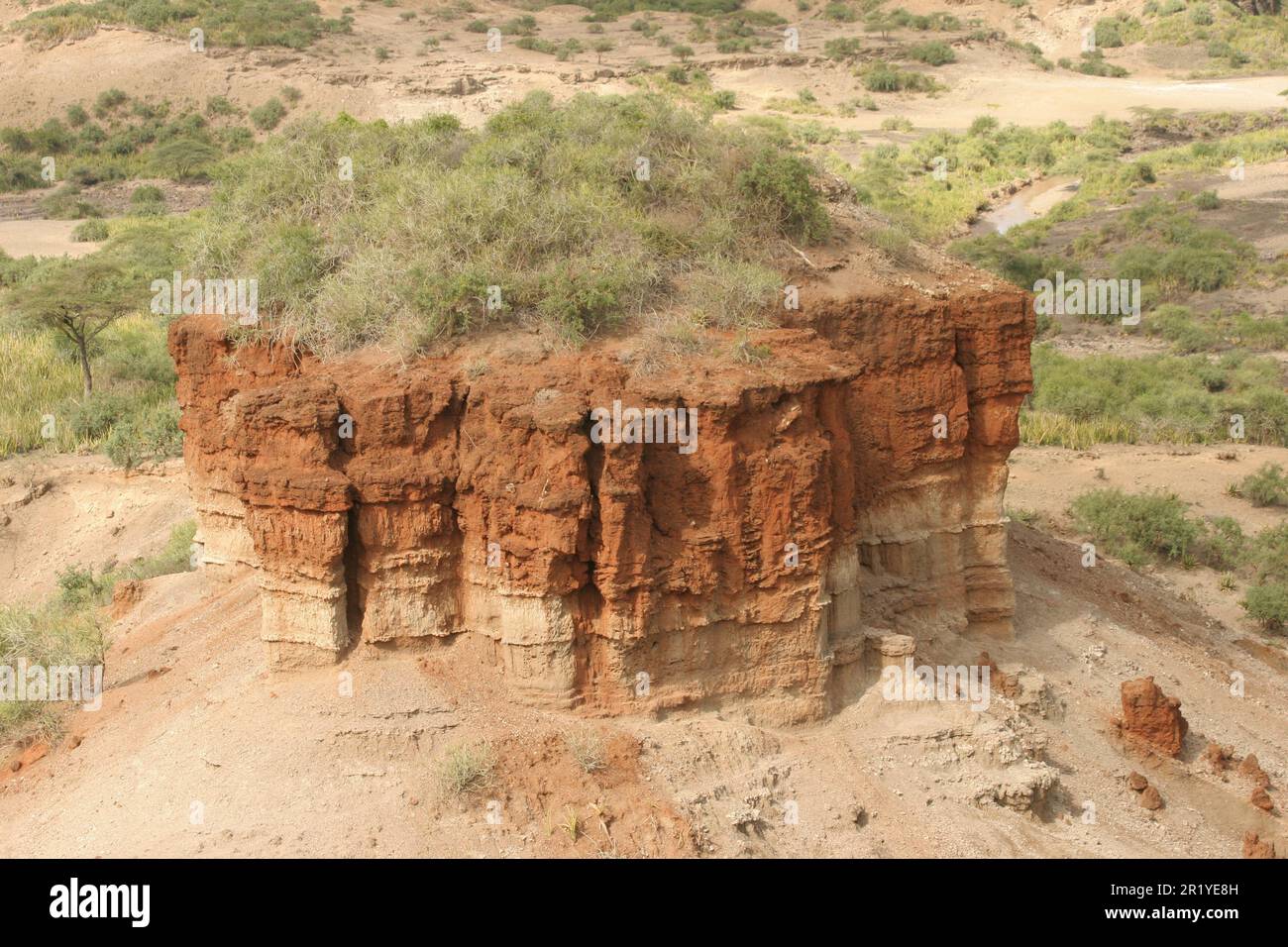 The Olduvai Gorge or Oldupai Gorge in Tanzania is one of the most important paleoanthropological localities in the world; the many sites exposed by th Stock Photo