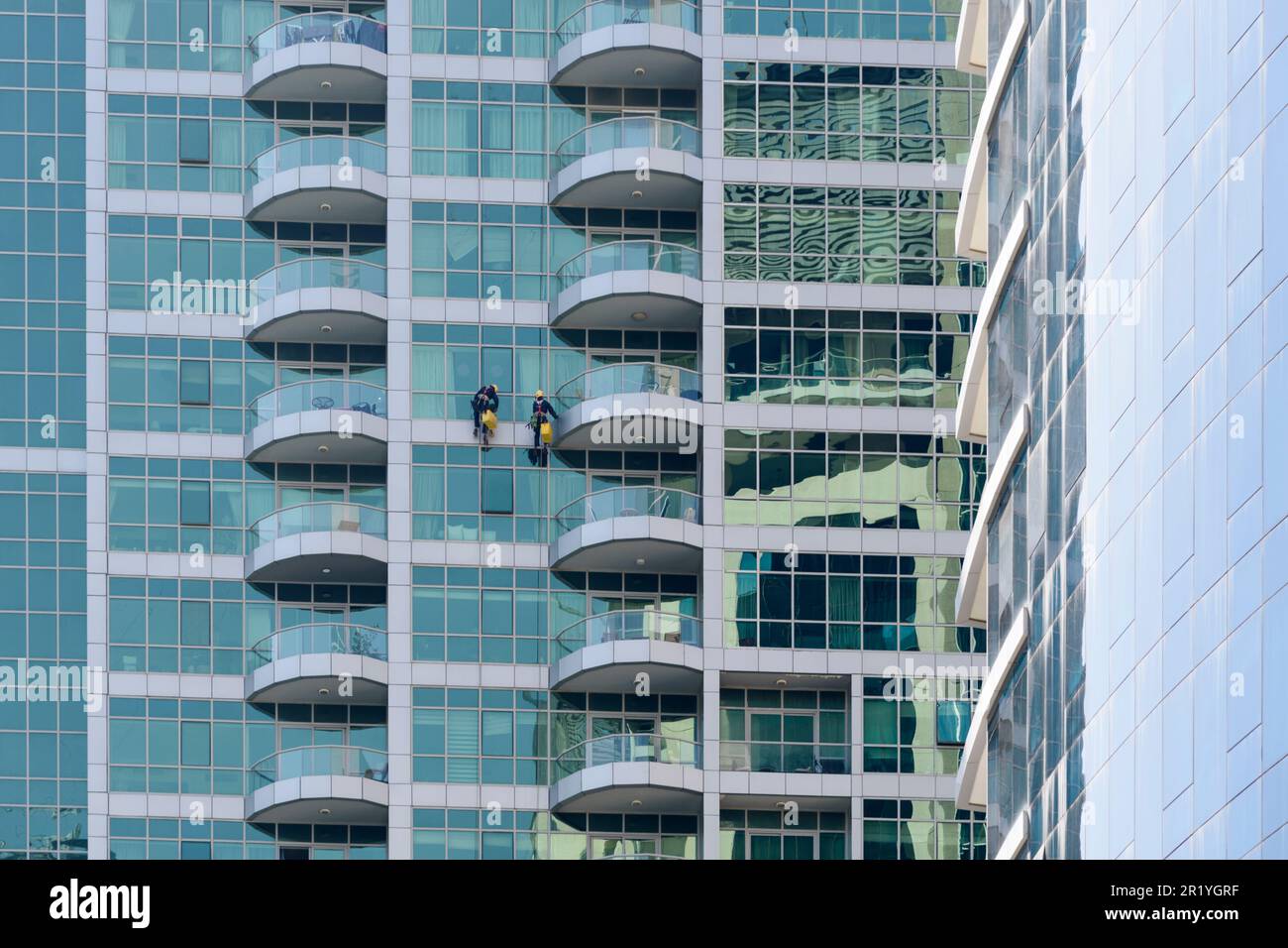 Window cleaners abseiling down a skyscraper in Dubai Marina, Dubai