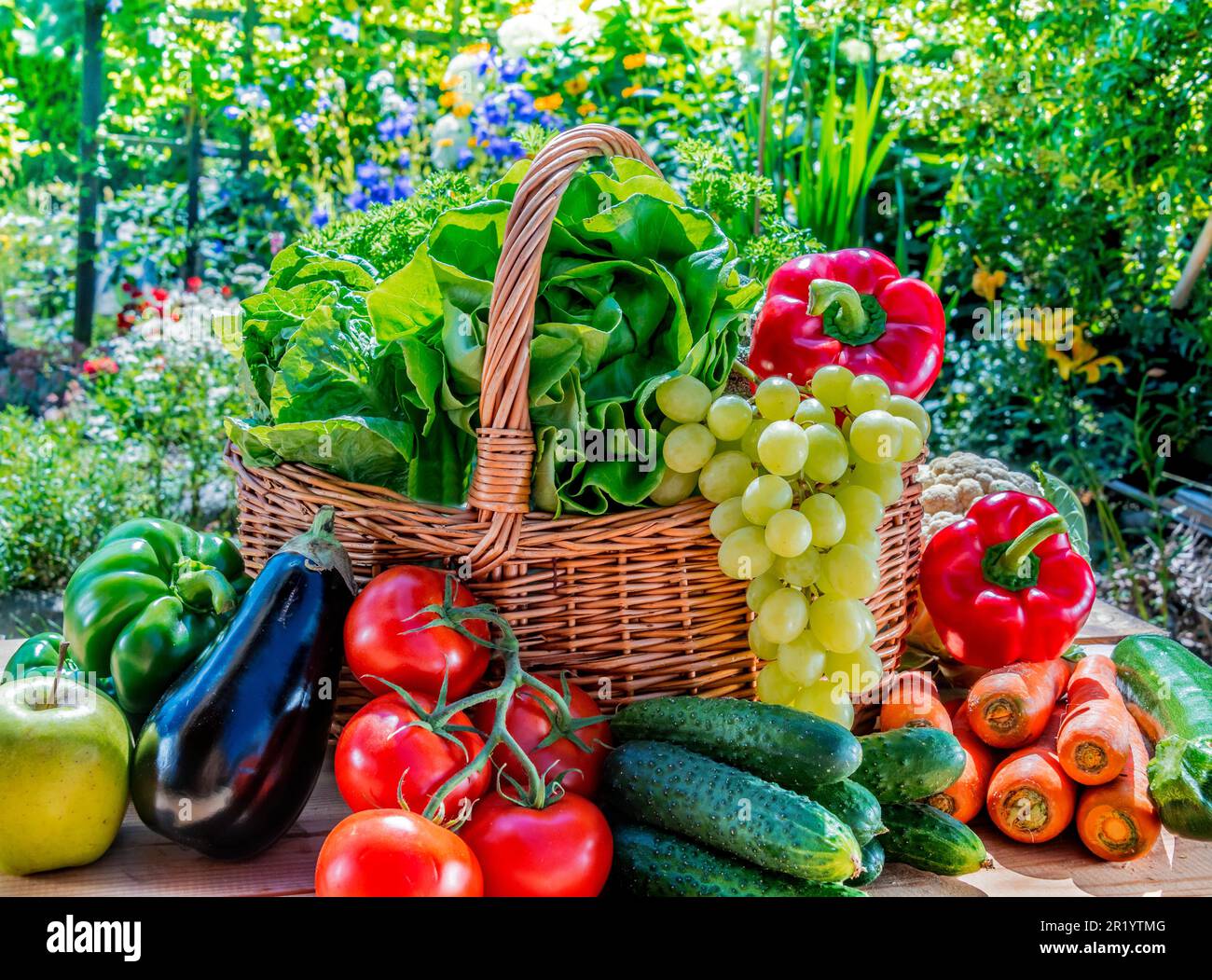 Normal Vegetables Variety of fresh organic vegetables and fruits in the garden. Balanced ...