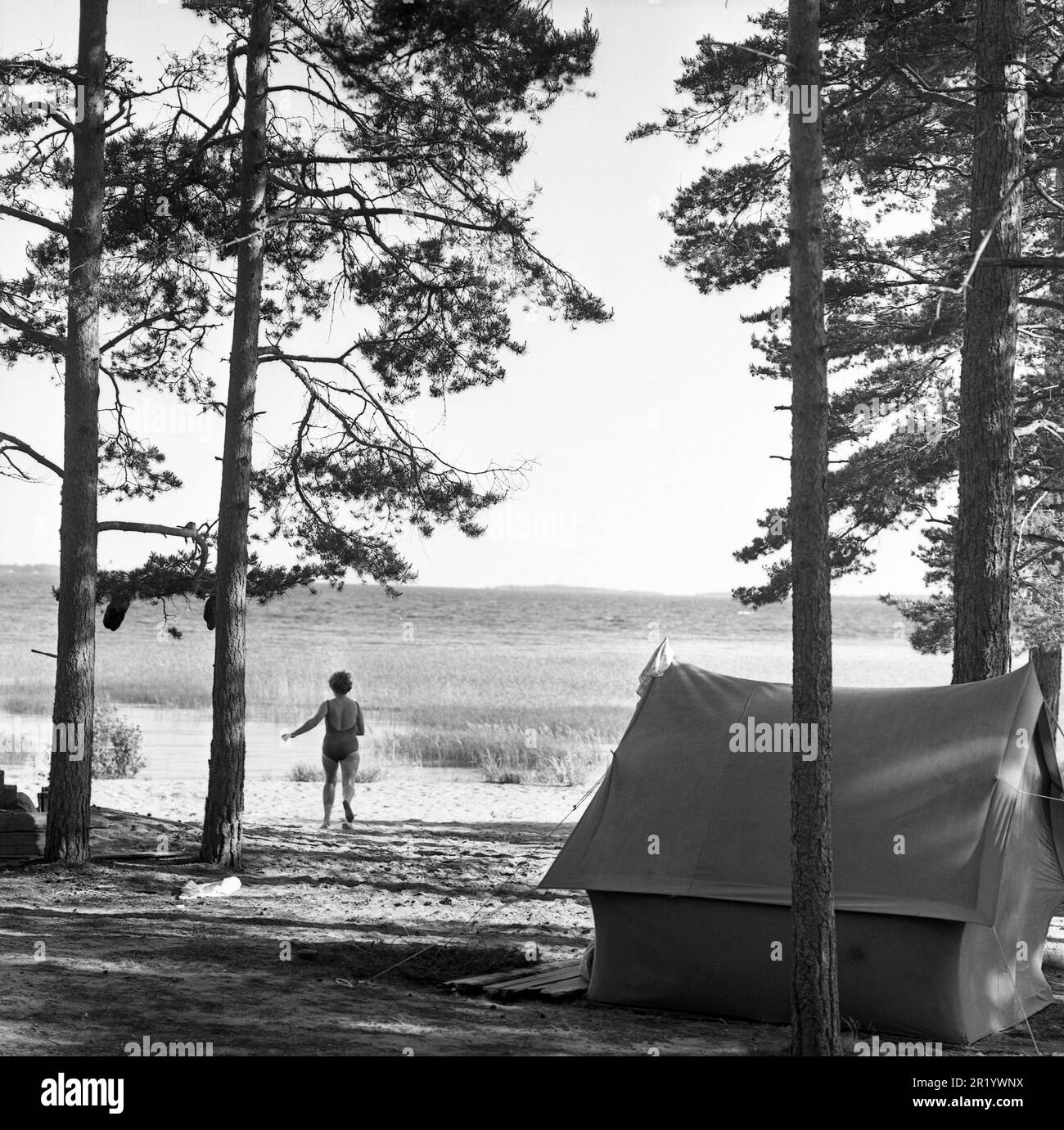 Camping in the 1960s. A campsite where the families spend parts of their summer holiday.  A tent is risen near the beach and a woman is seen running towards the water taking a cooling bath this summer day. Värmland Sweden 1962. ref BV97-12 Stock Photo