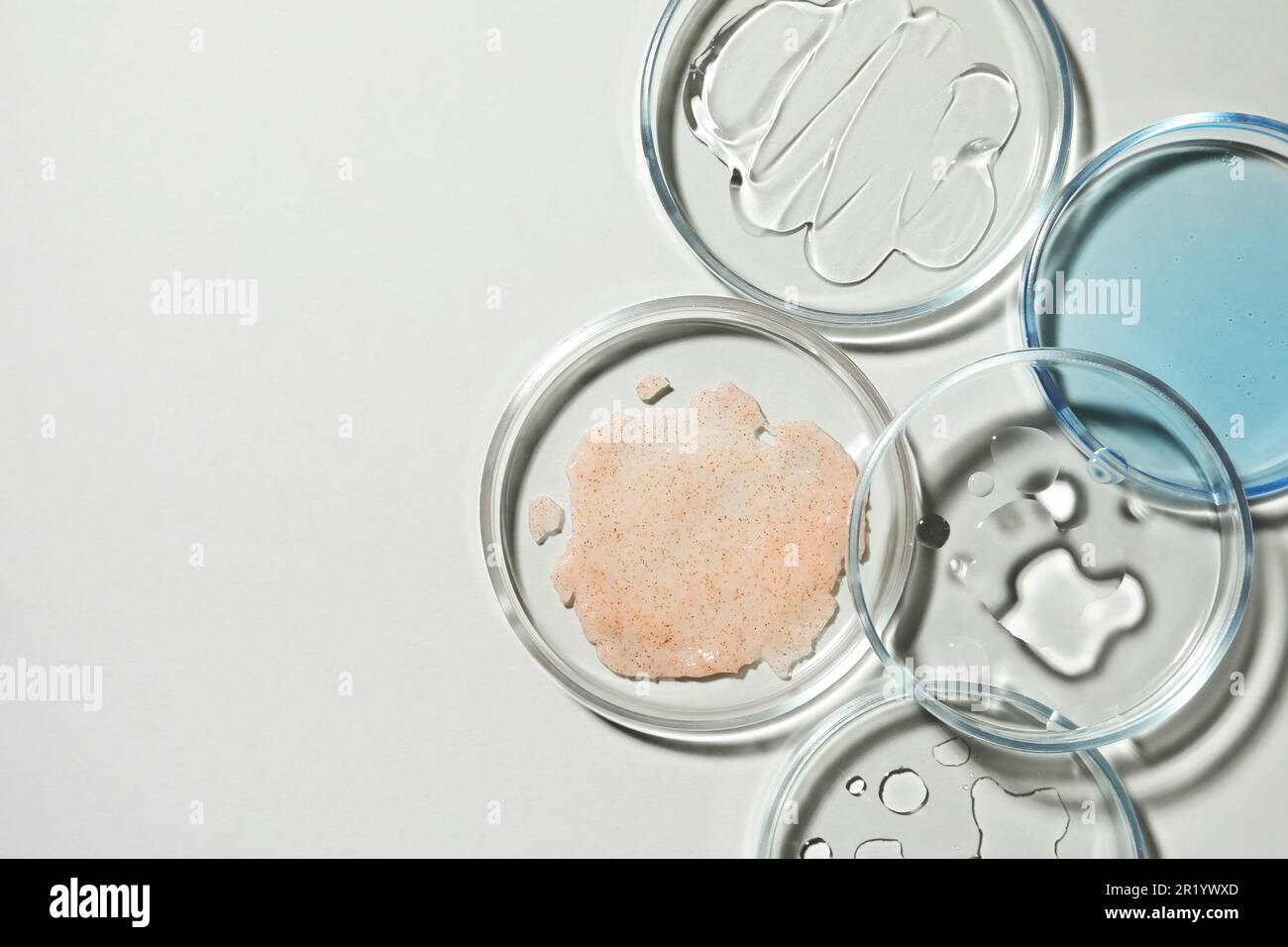 Flat lay composition with Petri dishes on light grey background, space ...