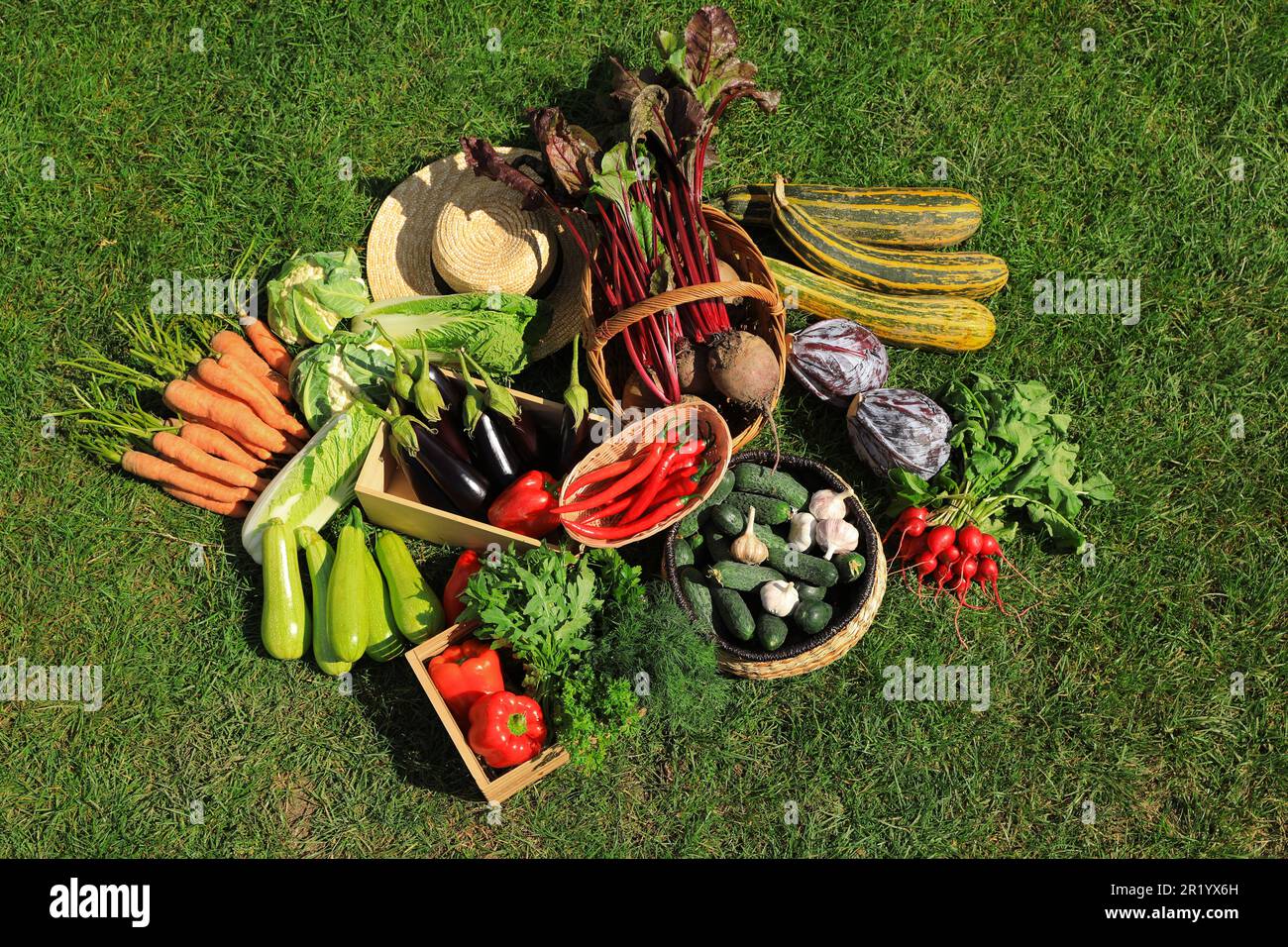 Different fresh ripe vegetables on green grass, flat lay Stock Photo ...