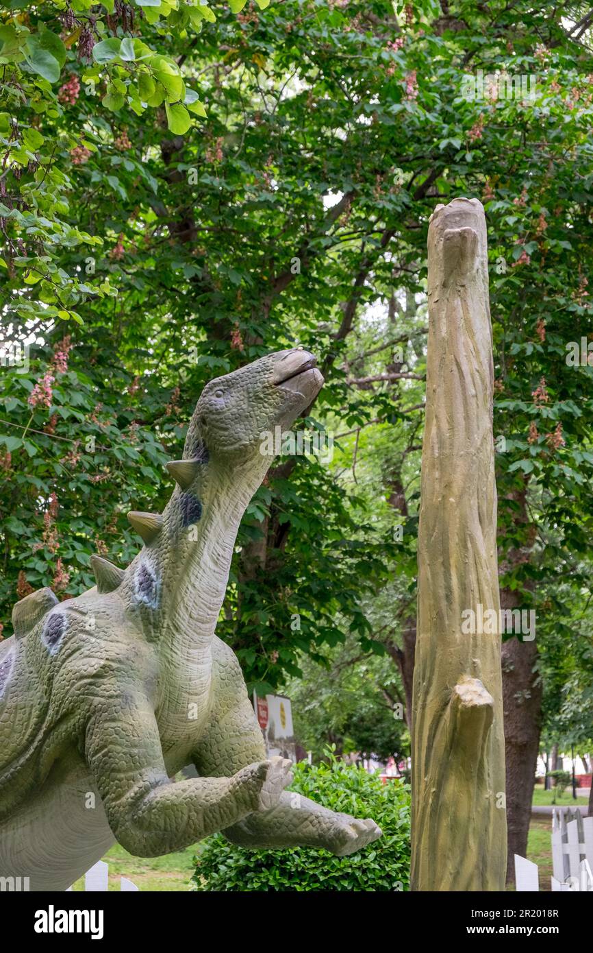 Animatrinic or robotic Wuerhosaurus dinosaur Stock Photo