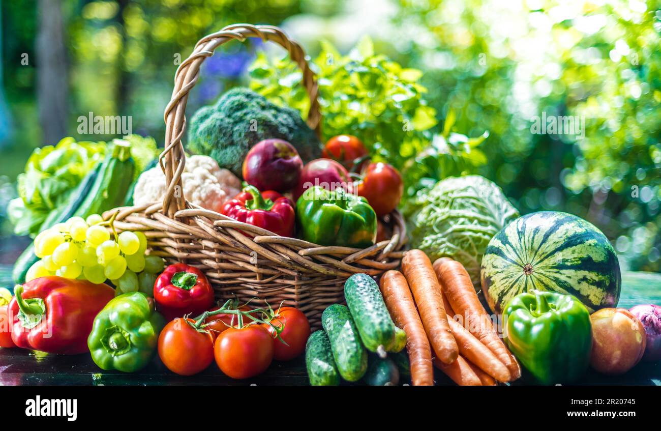 Variety of fresh organic vegetables and fruits in the garden. Balanced ...