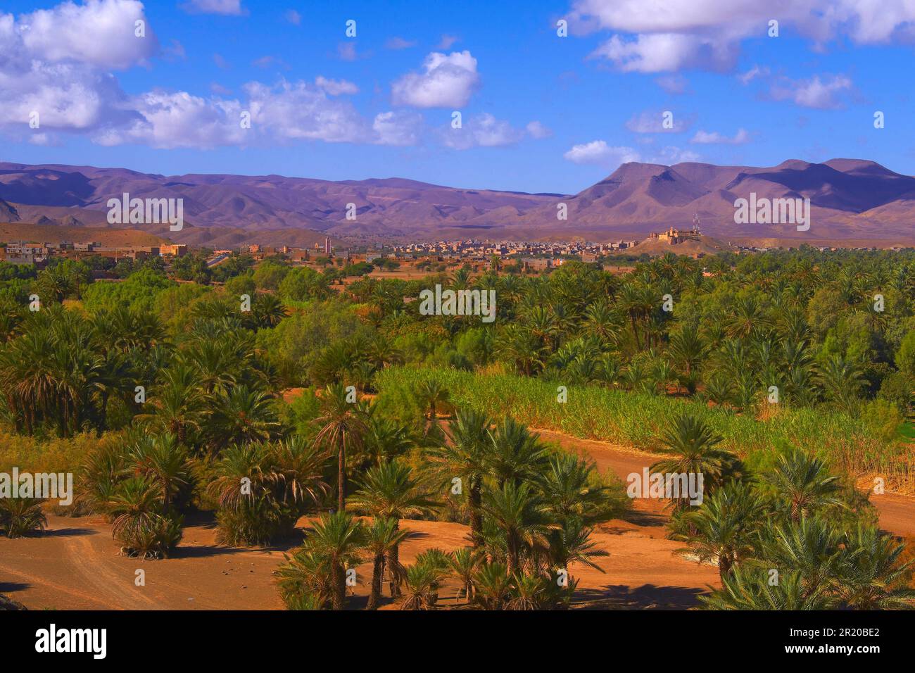 Djebel Kissane, Agdz, palm grove, oasis, Draa Valley, Souss-Massa-Draa ...