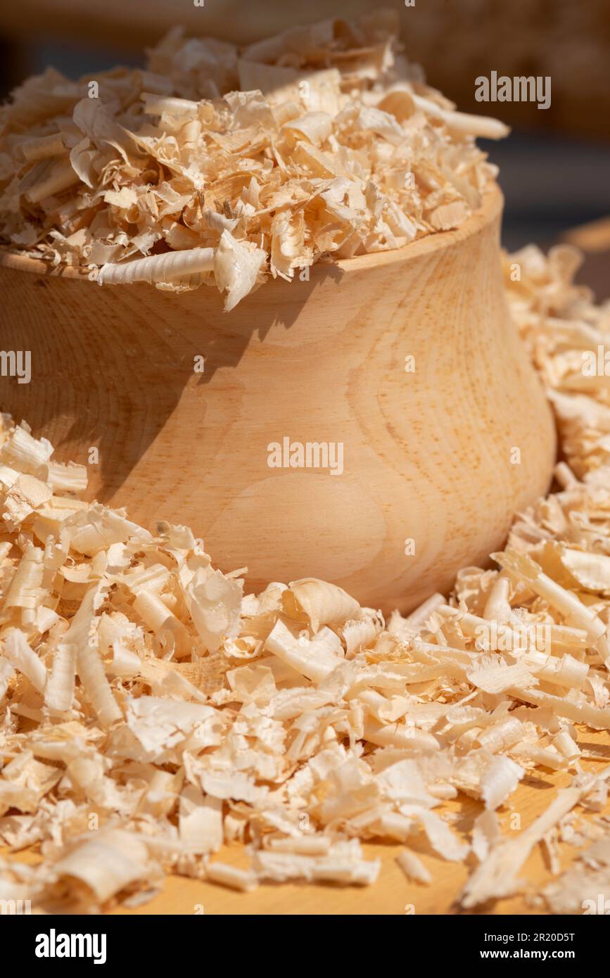 Swiss Pine Chippings Also Called Pinus Cembra Stock Photo