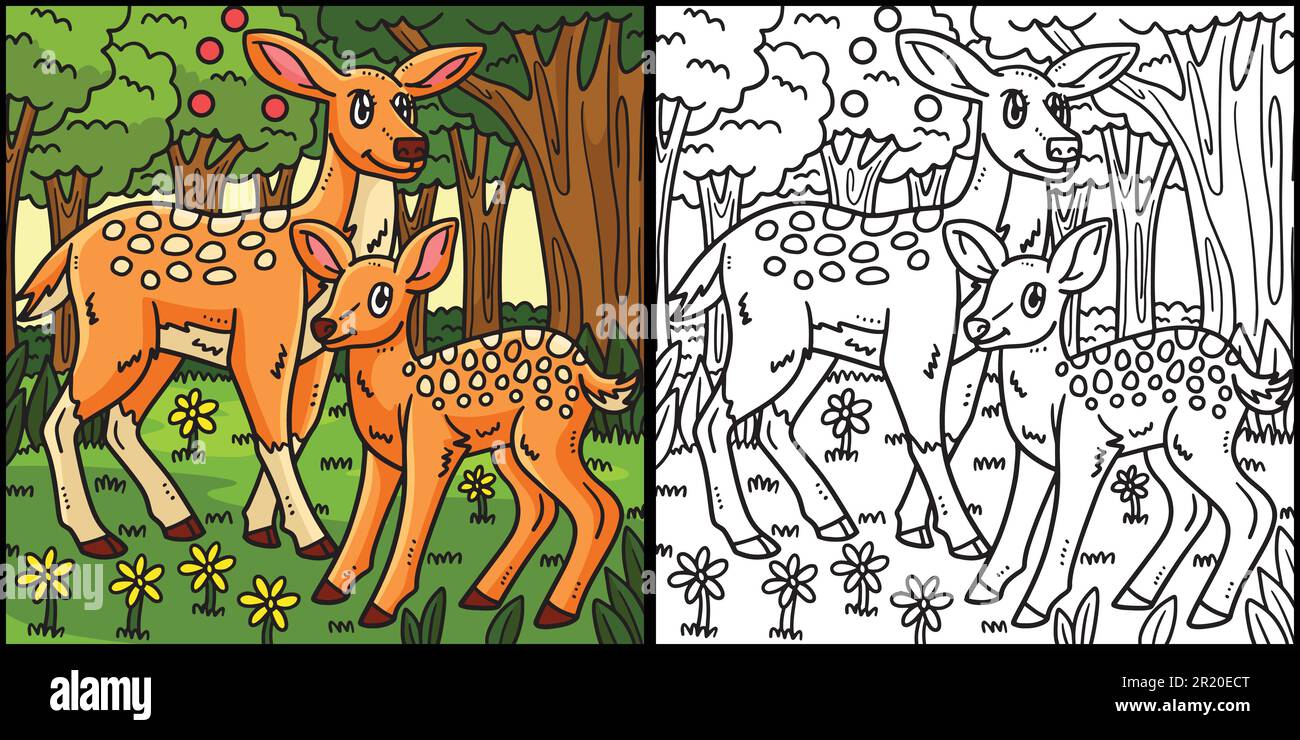 Mother Deer and Baby Deer Coloring Illustration Stock Vector Image