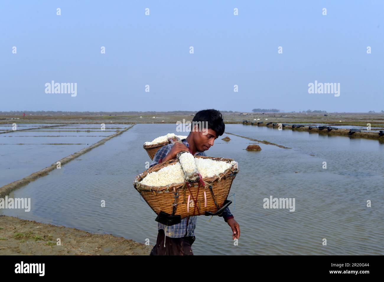 Cox s bazar 16th may 2023 a man carries loads of sea salt in cox s