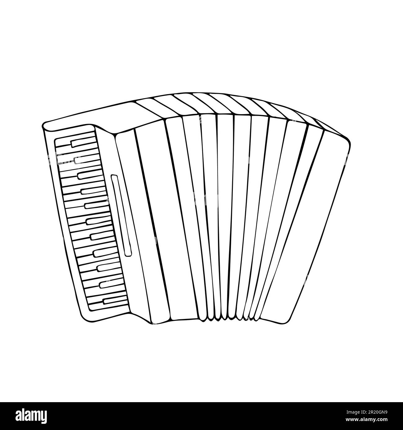 Accordion, modern musical instrument. Classic accordion, harmonious