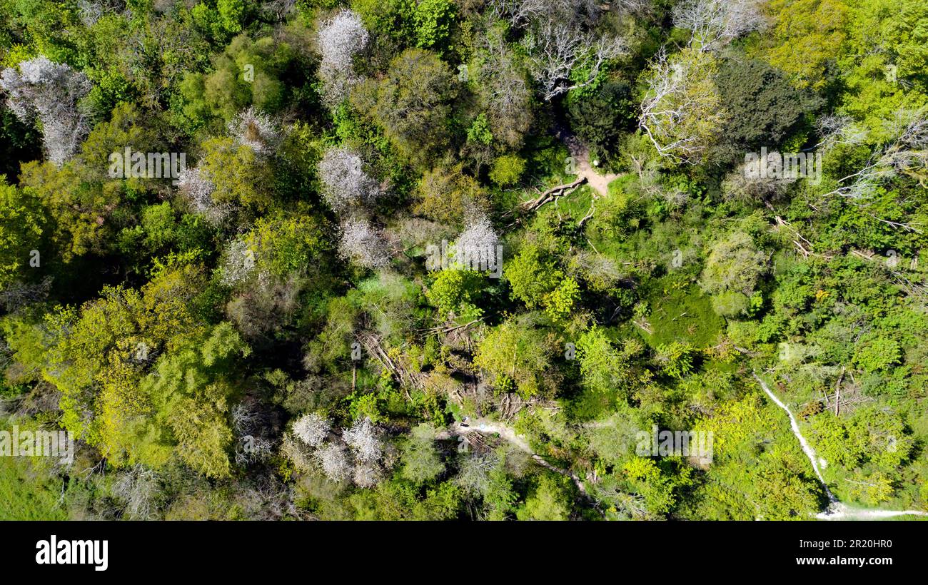 Aerial Photography looking down at Coxhill Mount, Kearsney, Kent Stock Photo