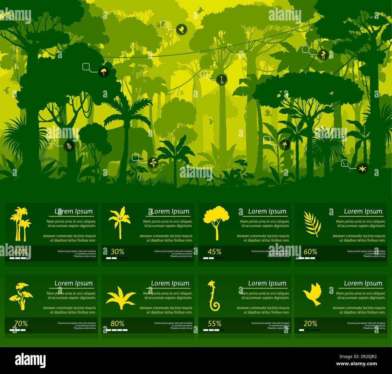 Jungle forest silhouette infographics on rainforest trees and plants nature, vector information. Jungle forest infographics with wild animals, tropical landscape of rainforest or Amazon forest trees Stock Vector