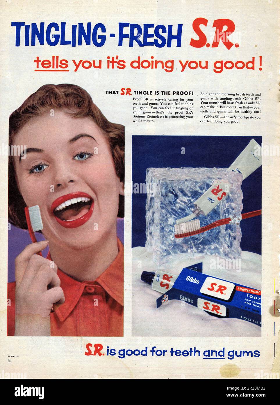 S. R. Toothpaste Advertisement c1950s. Photo by Hector Archive Stock Photo Alamy