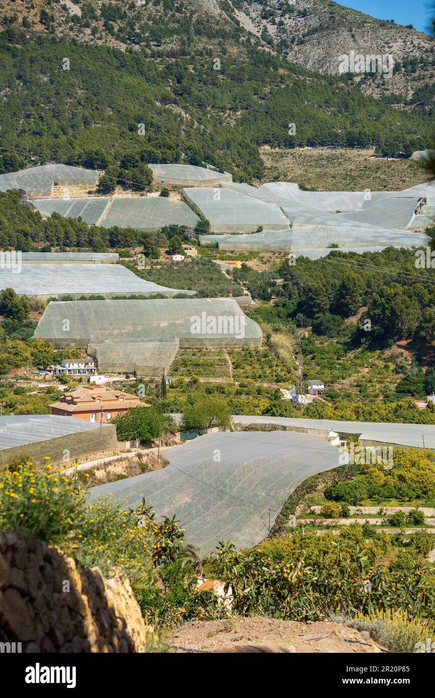 Mountains with cultivated ‘vineyards’ farmland and greenhouse agriculture in Spain Stock Photo