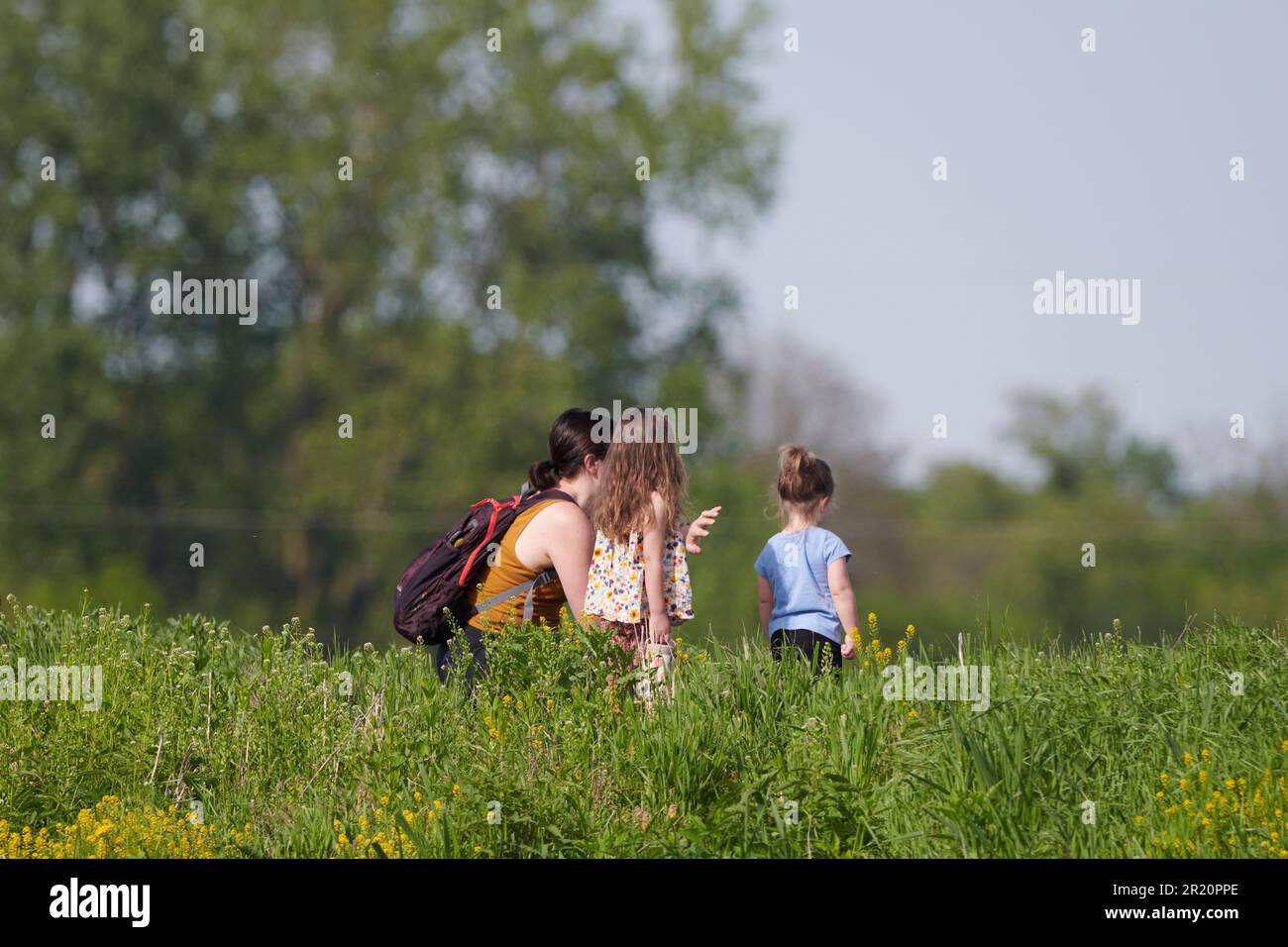 Learning and nature hi-res stock photography and images - Alamy