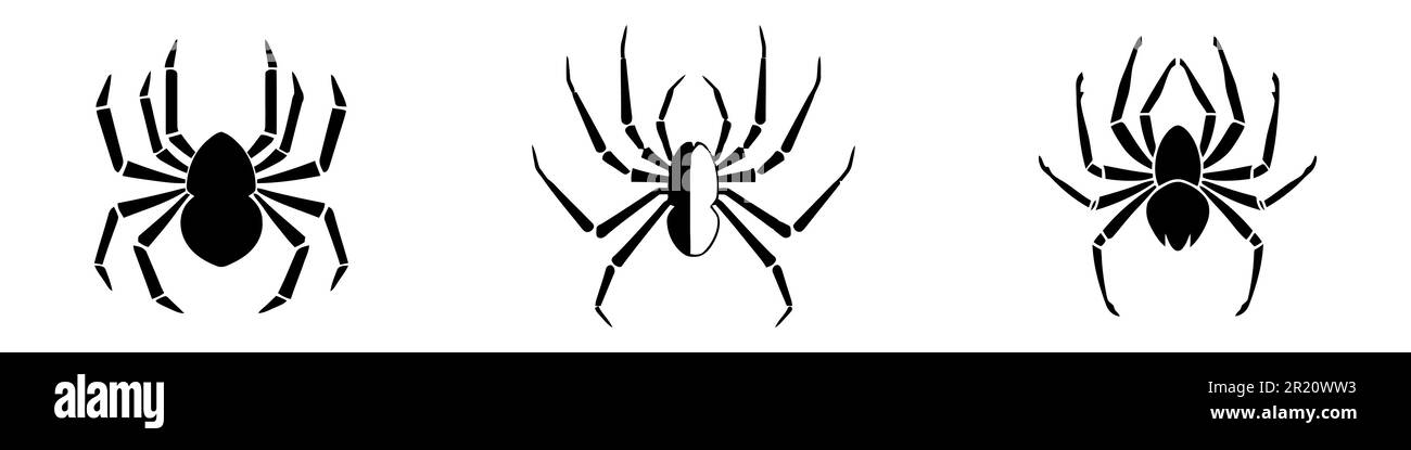 Set of black silhouette spider icon isolated on white background. Top ...