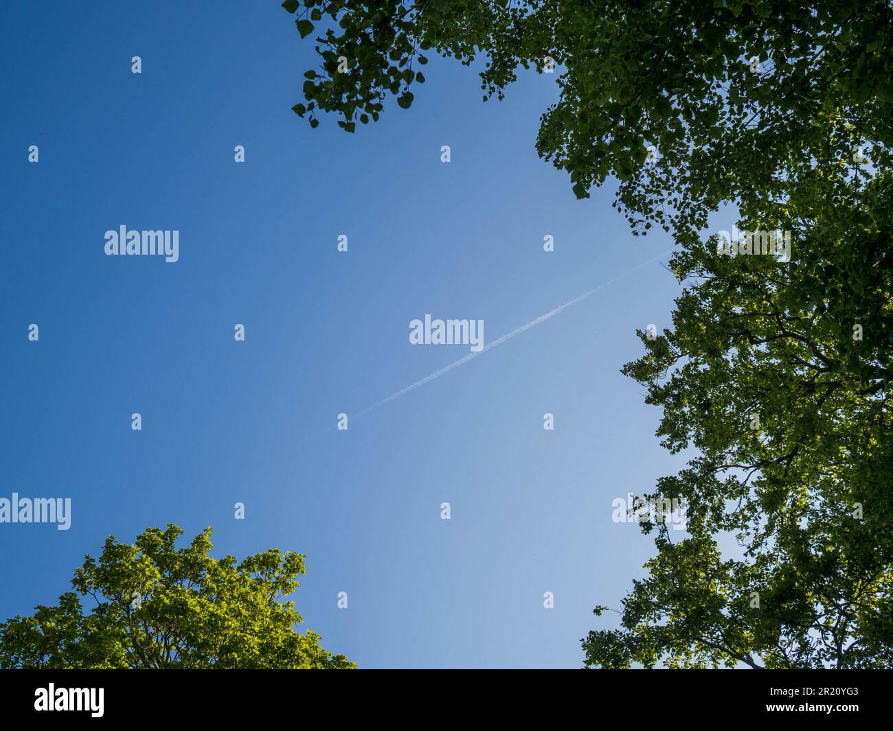 Far Away Plane, Looking Up, Blue Sky, Green Trees, Balmore Walk, Caversham, Reading, Berkshire, England, UK, GB. Stock Photo