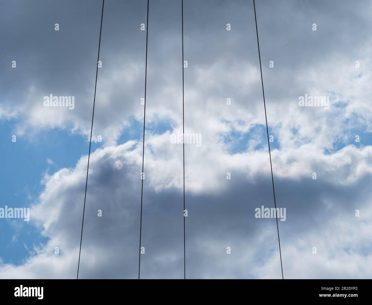 Telephone Lines in the Sky Looking Up, Caversham, Reading, Berkshire