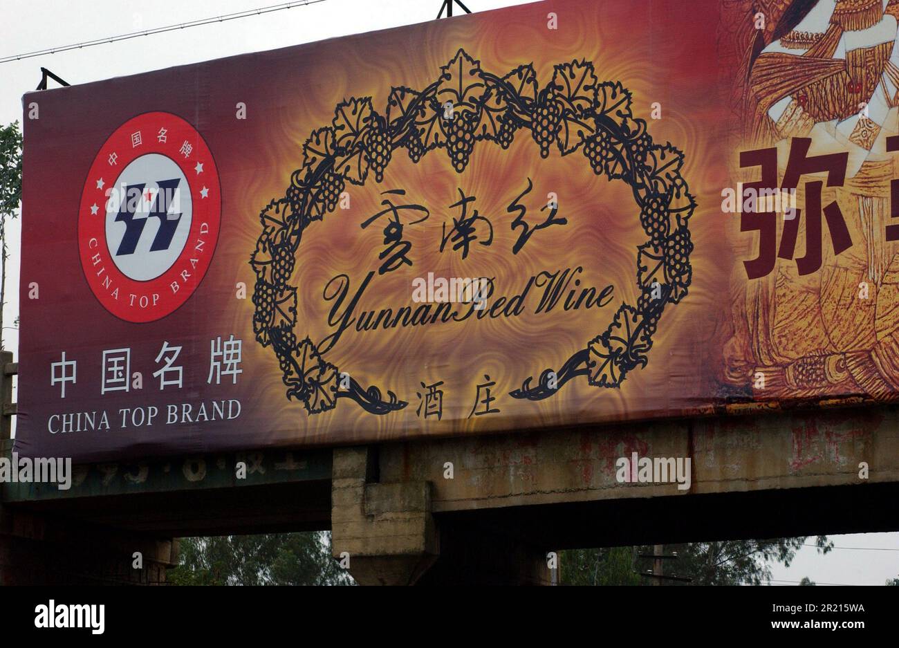 Grape plantations provide the raw ingredients to one of Yunnan's famous of  red wines, which was inspired by a French missionary, near to Kunming Stock  Photo - Alamy