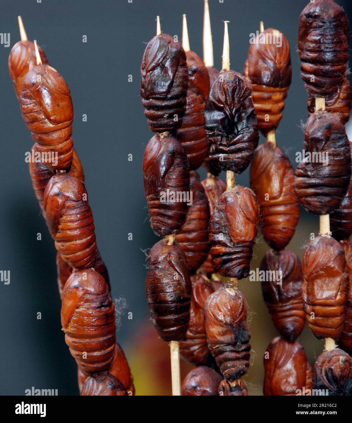 Deep fried insects sold hi-res stock photography and images - Alamy