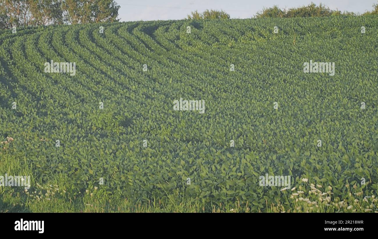 Graphic resource announcement template sign for group service gathering