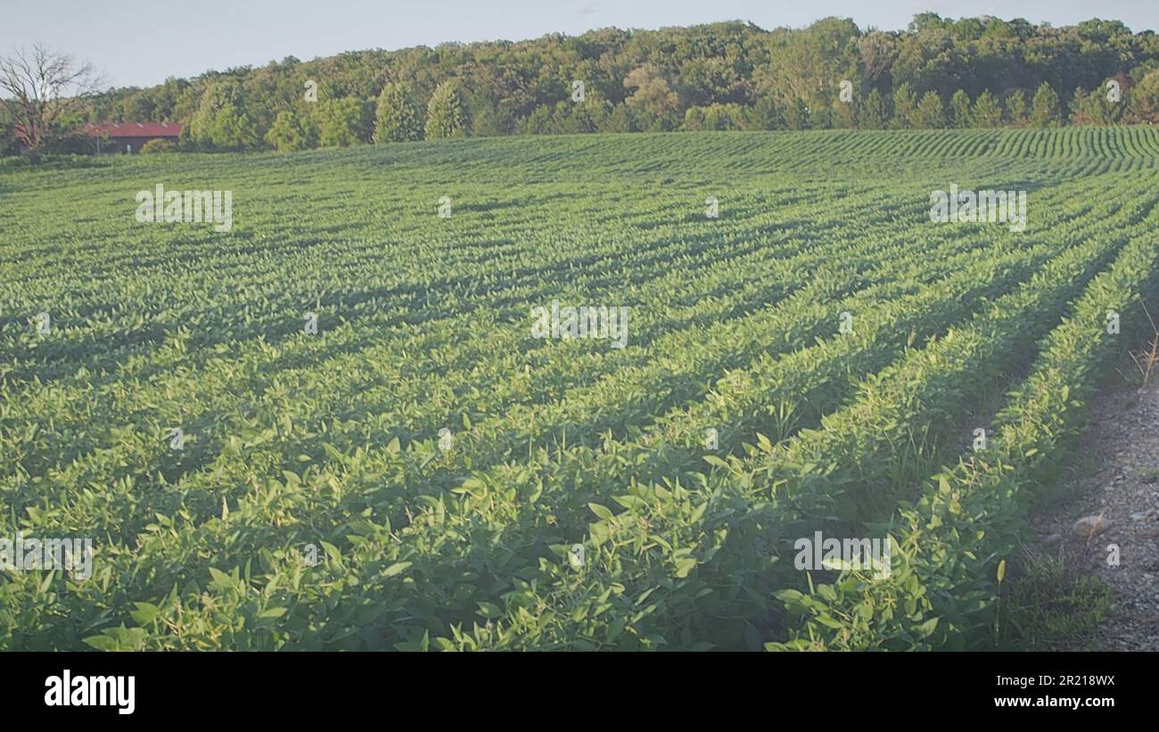 Graphic resource announcement template sign for group service gathering