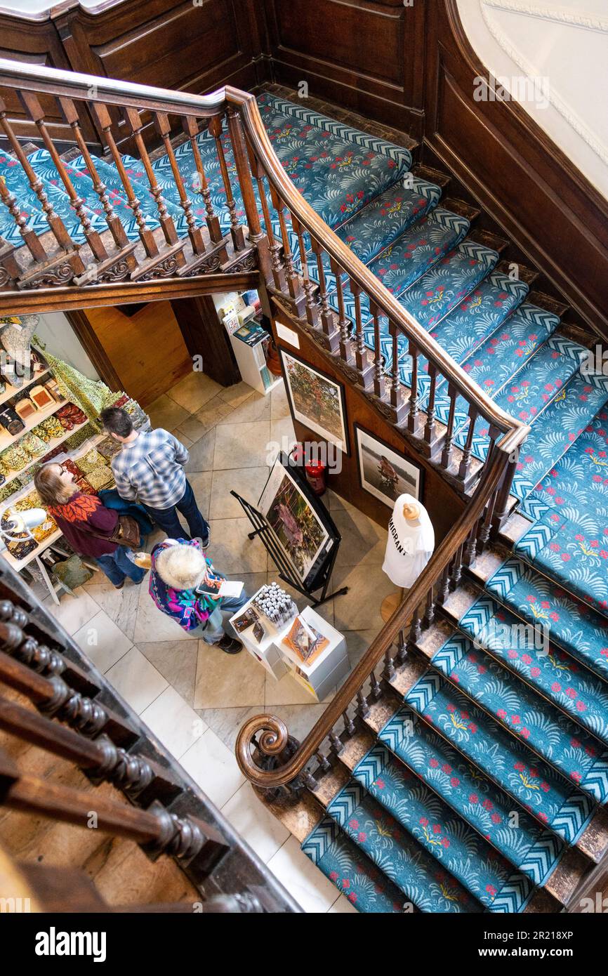 Wooden Georgian style staircase with blue, floral print carpet at the William Morris Gallery, Walthamstow, London, UK Stock Photo