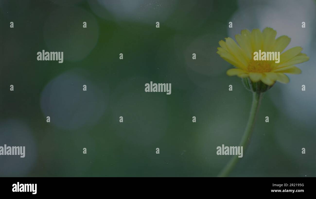 Graphic resource announcement template sign for group service gathering