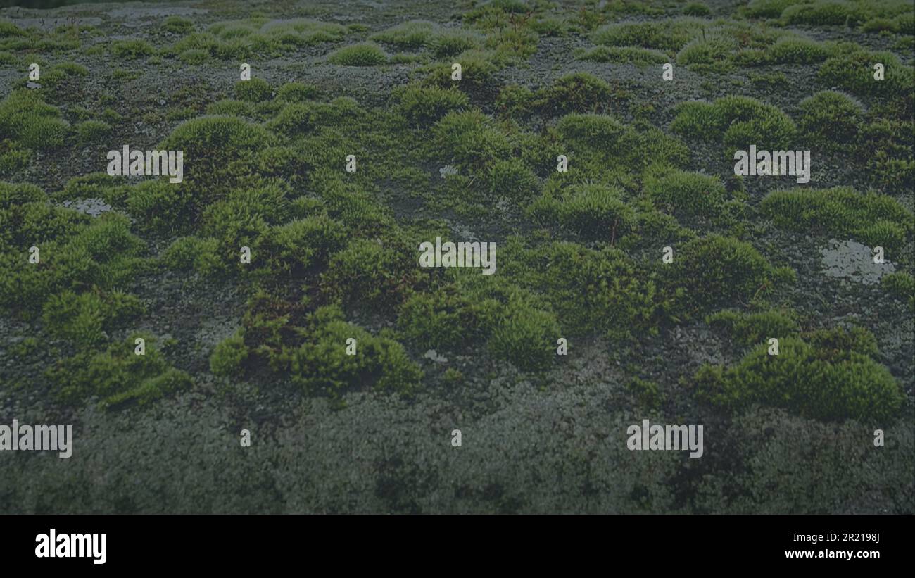 Graphic resource announcement template sign for group service gathering