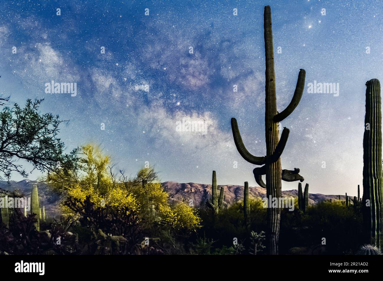 Night sky milky way galaxy hi-res stock photography and images - Alamy