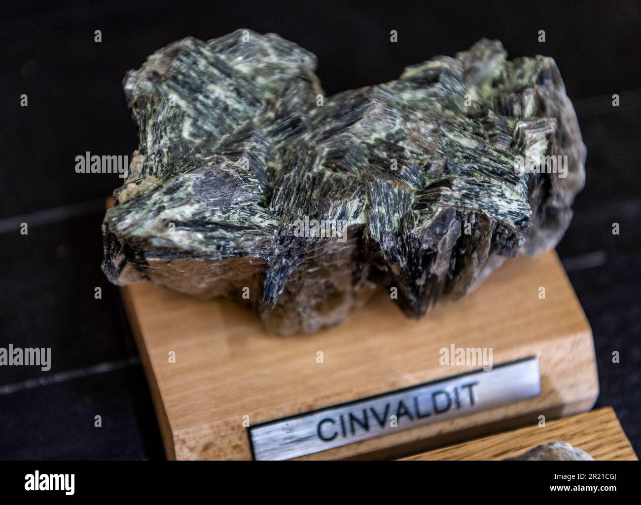 Cinovec dubi 16th may 2023 a sample of cinvaldite at the geomet