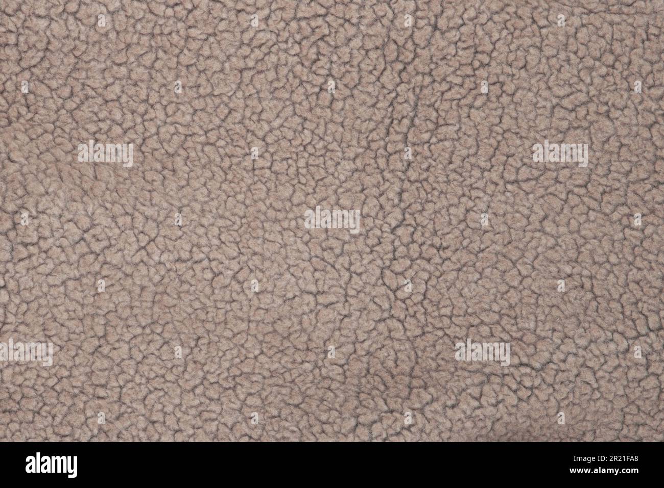 Wool texture. Beige wool background, natural sheepskin close-up. Top view Stock Photo