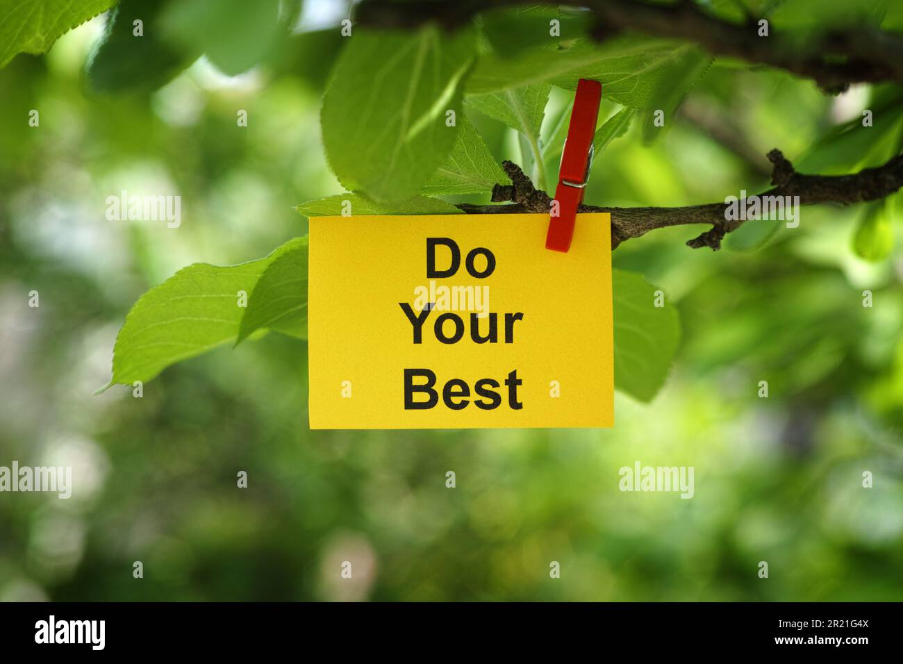 A yellow paper note with the phrase Do Your Best on it attached to a tree branch with a clothes pin. Close up. Stock Photo