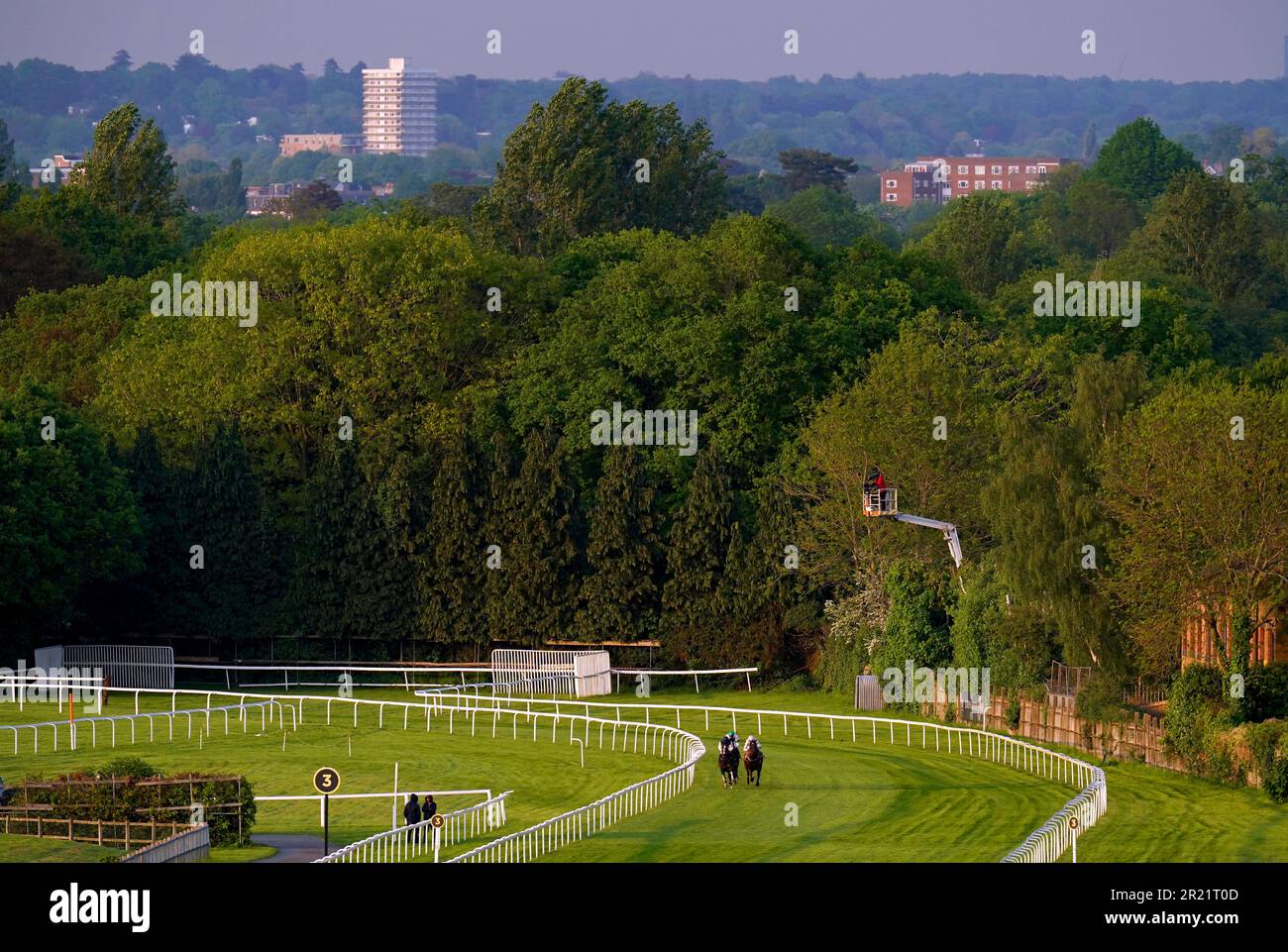 Runners and riders in action as they compete in the Guildford Handicap