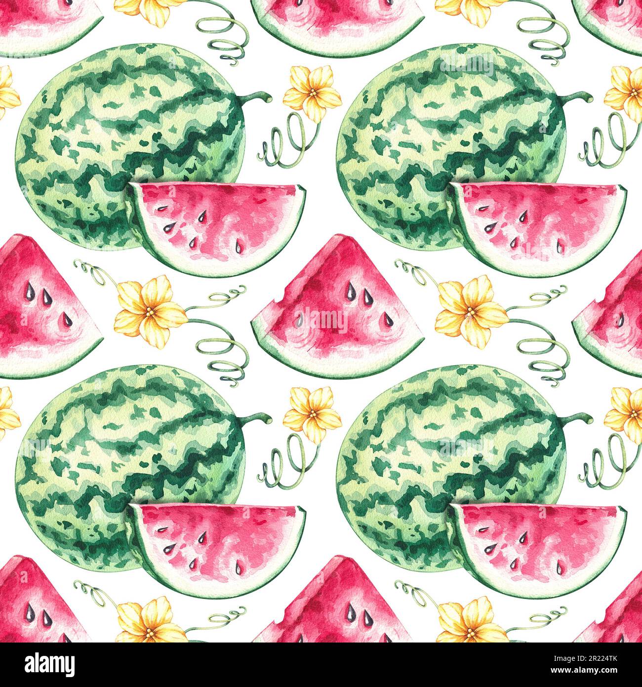 Watercolor watermelon pattern on a white background for design invitation, postcard, packaging, label, background, textile, fabric, wallpaper Stock Photo