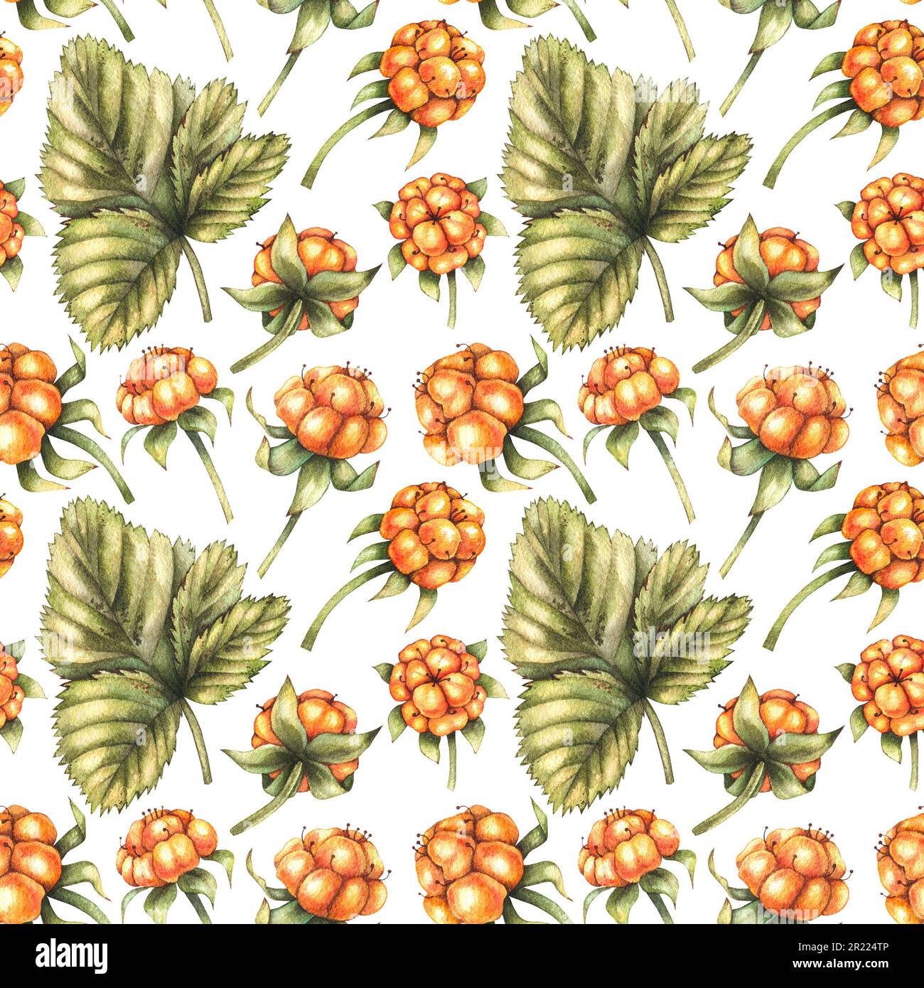 Watercolor pattern with cloudberries on a white background for fabric design, textile, wallpaper, postcards, banner, social network Stock Photo
