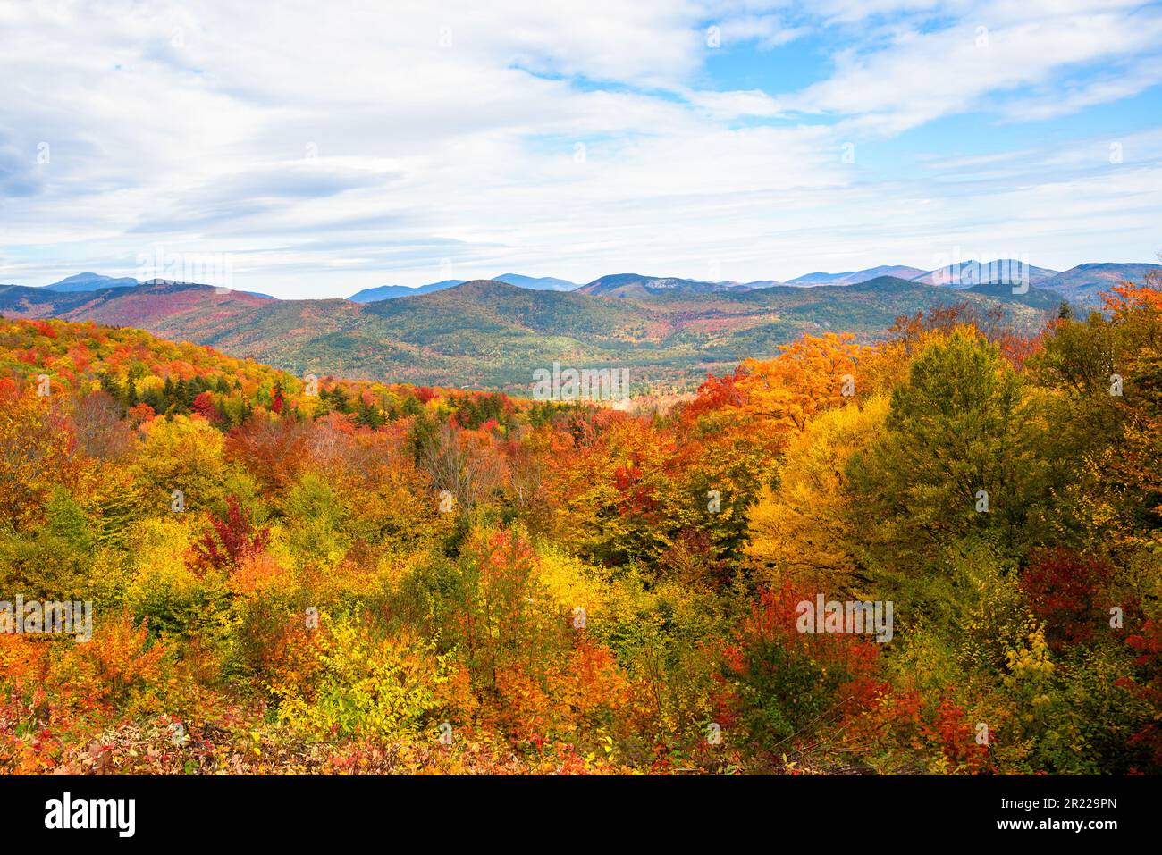 Forested mountain landscape at the peak of fall folige Stock Photo