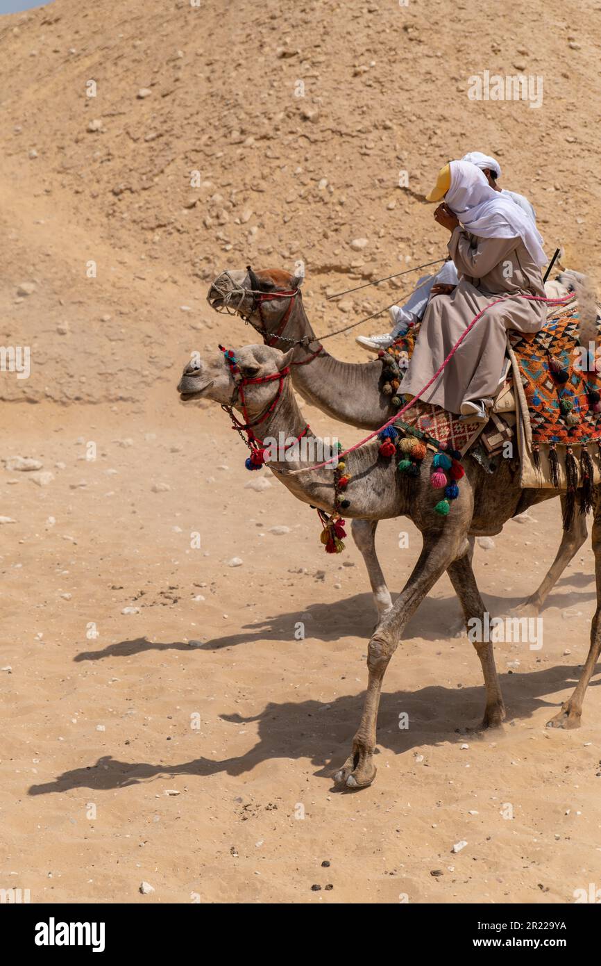 Traditional Camel Riding Local men riding camels hi-res stock photography and images - Alamy